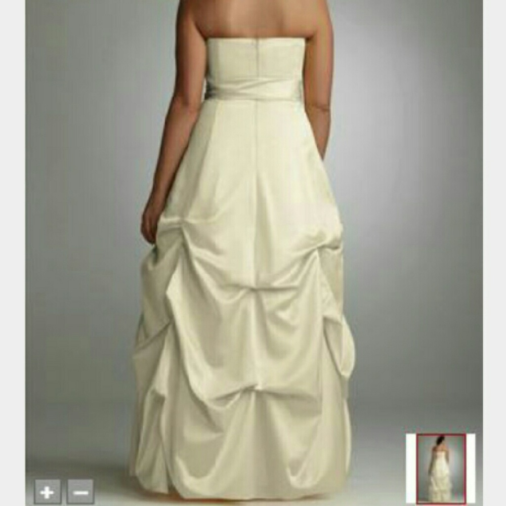 Gorgeous  champagne gown with pickups