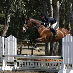 Meet your Posher, Alison