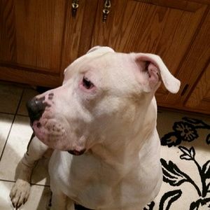 Meet your Posher, Theresa