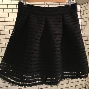 Black Mini Skirt with net overlay