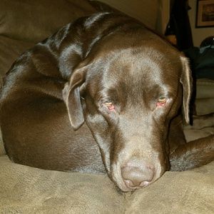 Meet your Posher, Justin