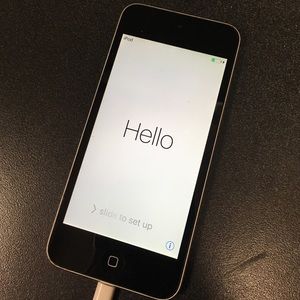 16GB 5th Gen iPod-Gently used, no cord/headphones