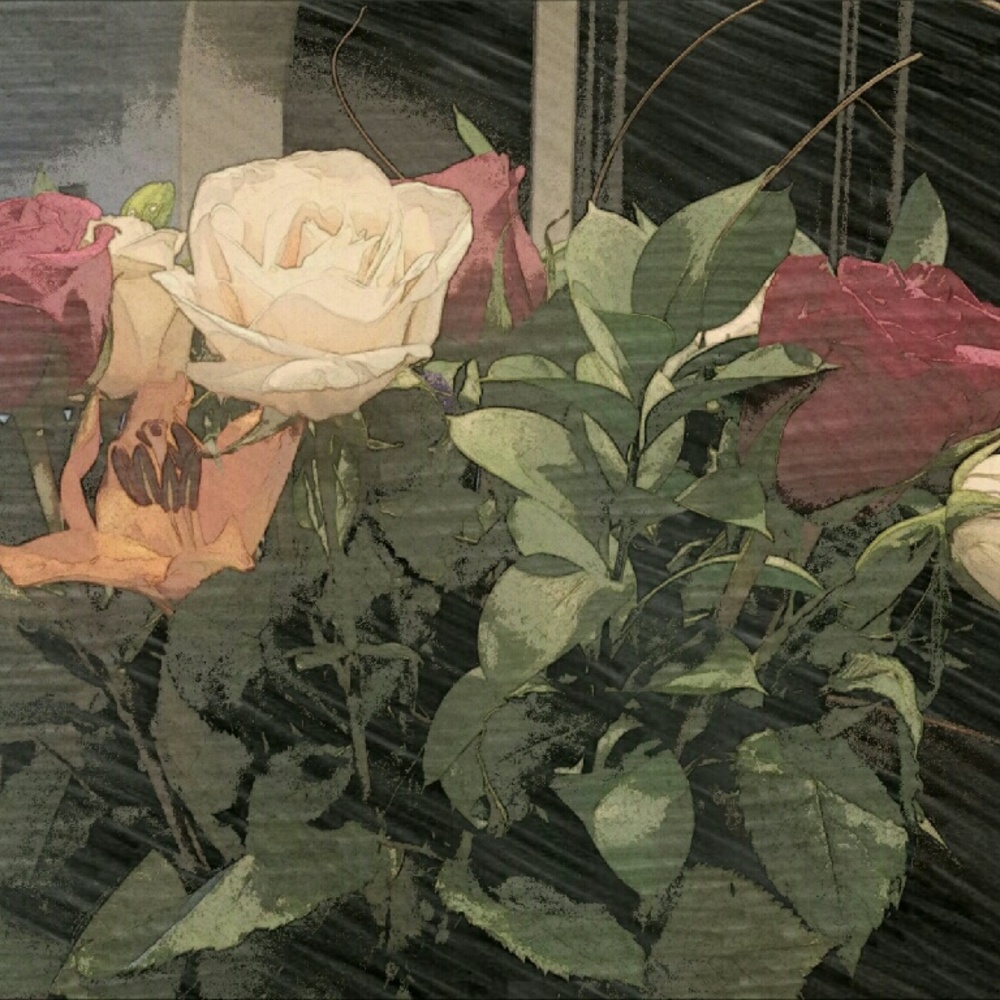 Meet your Posher, Valerie