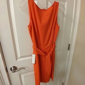 Ann Taylor Dress