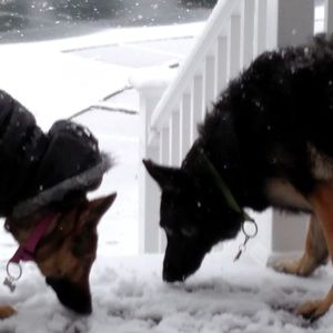 Meet your Posher, Mary