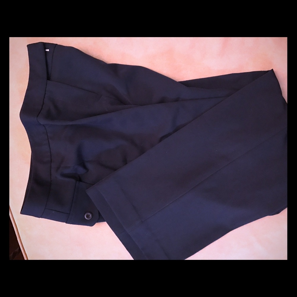 Ingredients Navy Women's Pants Size 4