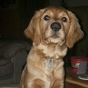 Meet your Posher, Shannon