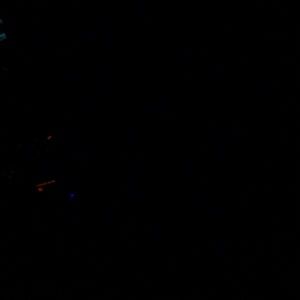 Meet your Posher, Karly