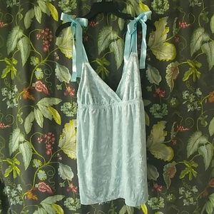 Victoria's Secret aqua crushed velvet teddie