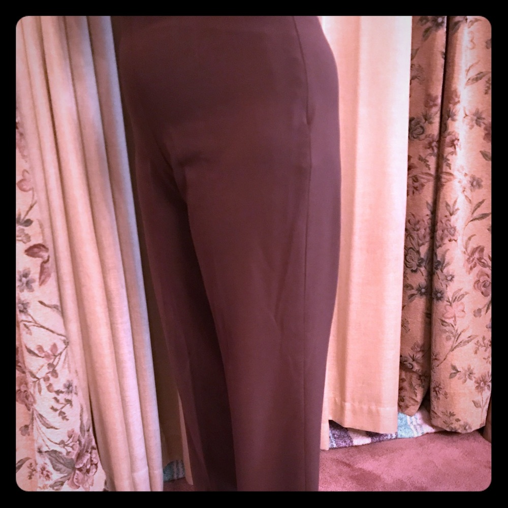 Coldwater Creek Brown Stretch Pants Size Petit 4