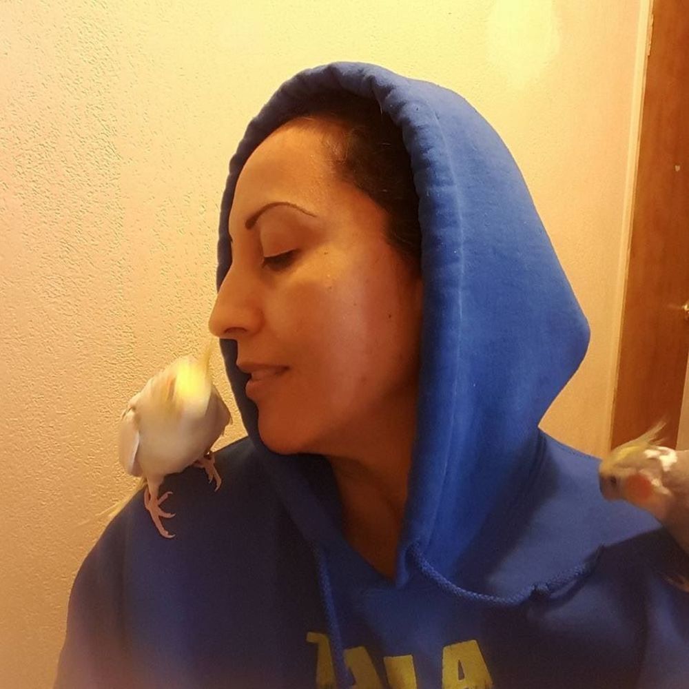 Meet your Posher, Luz
