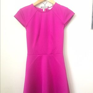 Ted Baker { Fushia A Line Dress }