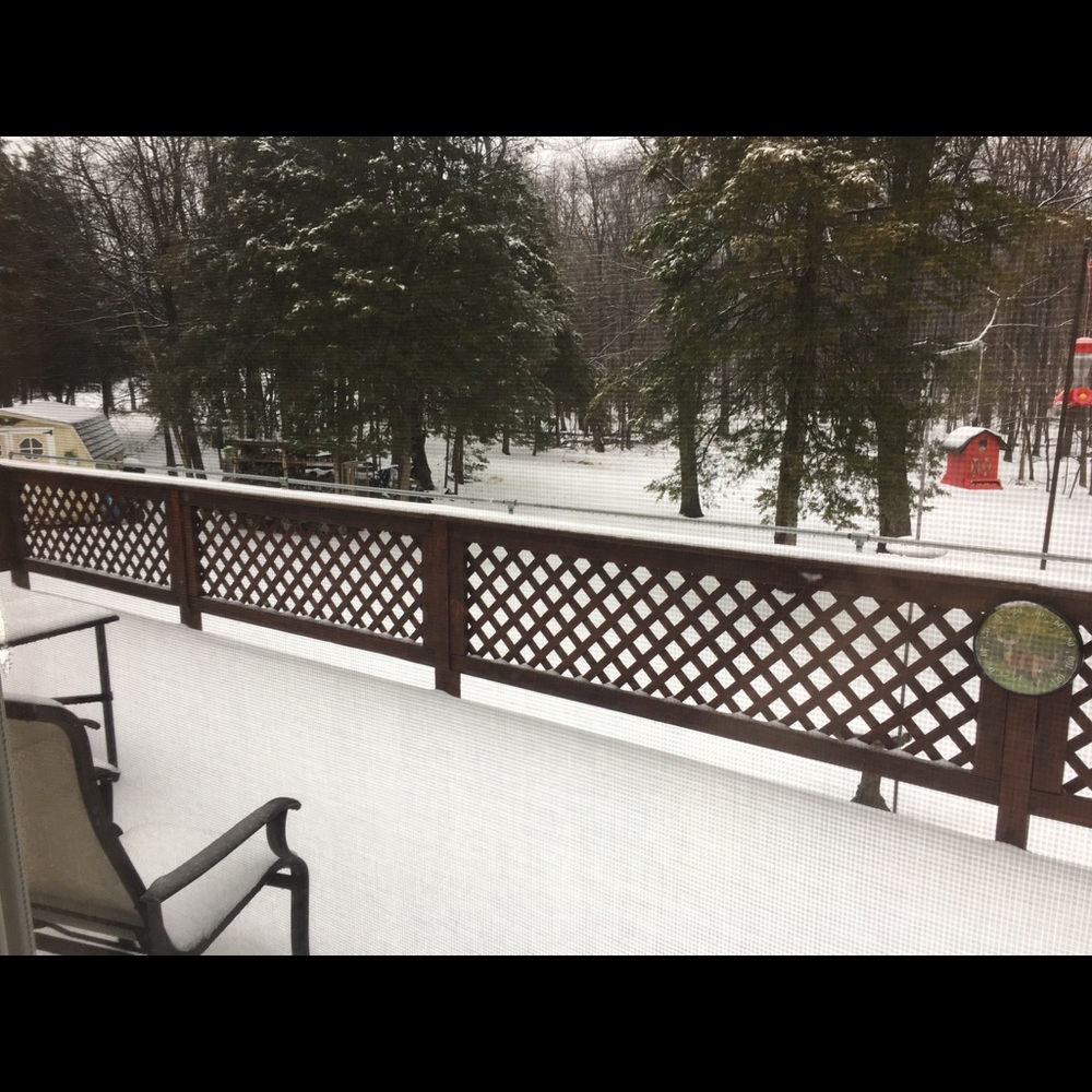 Shipping delay - Picture 2 of 2