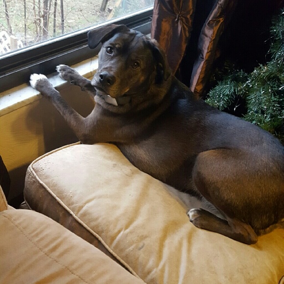 rootedinreselling.com  New Blog & Website!😄❤TY! - Picture 4 of 9