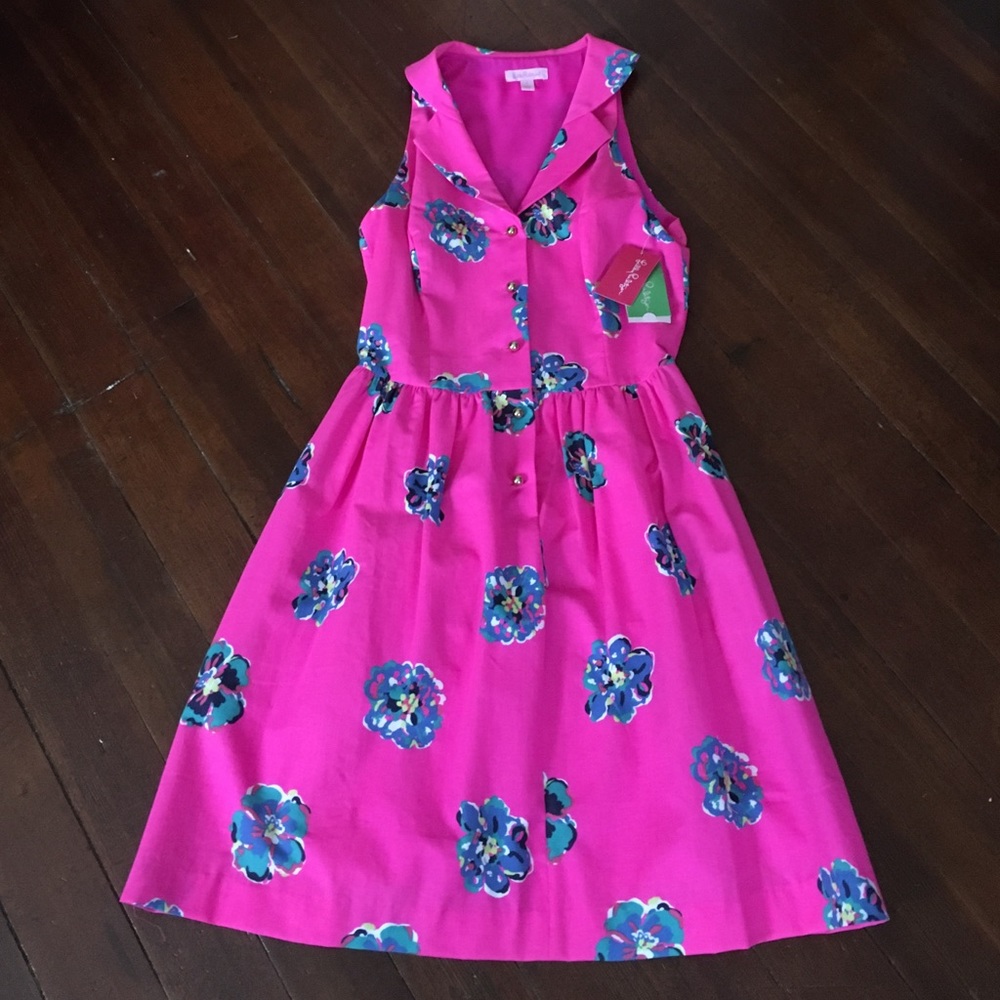 NWT Pink Lilly Pulizter Dress