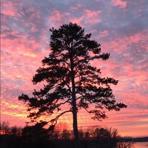 Meet your Posher, Gabriel