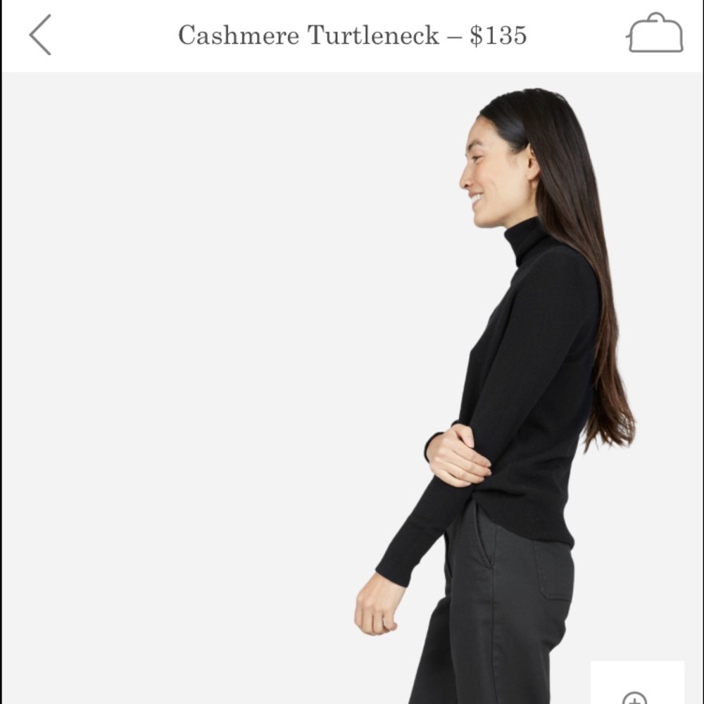 NWOT everlane cashmere turtleneck
