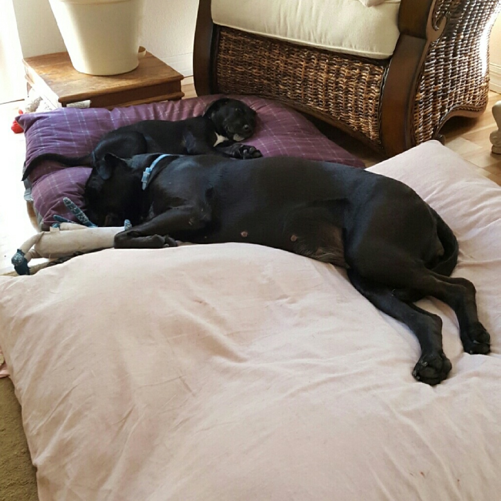 Meet your Posher, Wendy