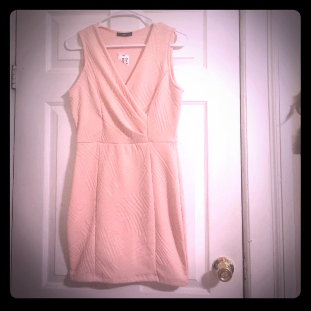 NWT Blush Cocktail dress