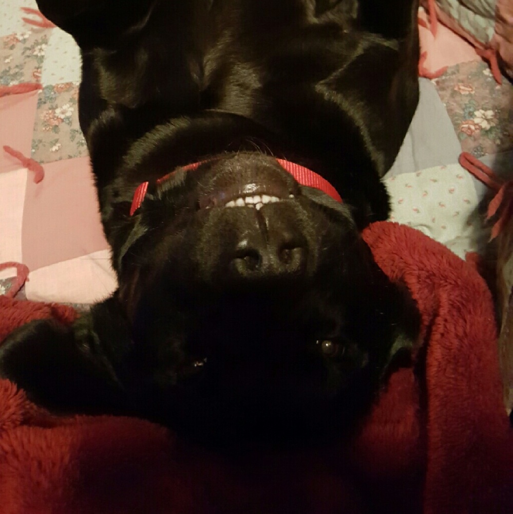 Meet your Posher, Debra