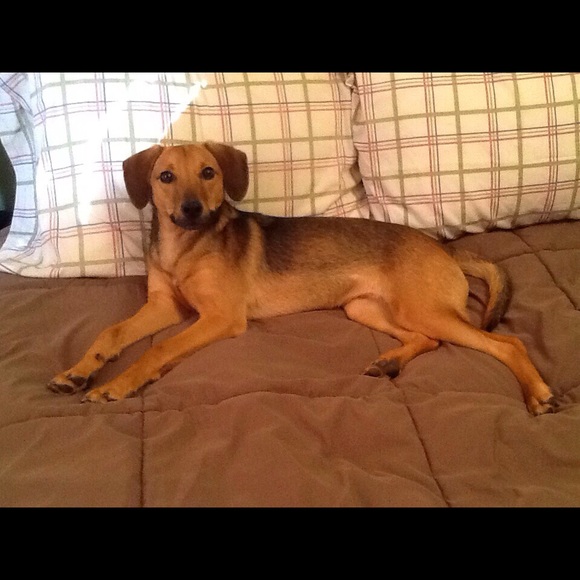 Meet your Posher, Andrea - Picture 3 of 3