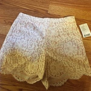 NWT gorgeous pale pink and white lace shorts!!