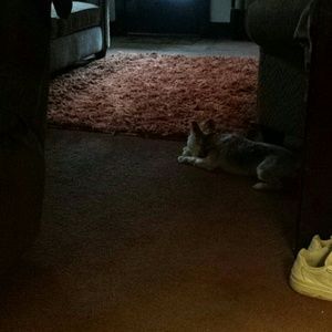 Meet your Posher, Jay