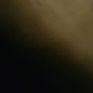 Meet your Posher, Alicia