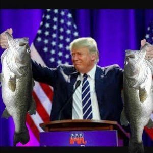 Meet your Posher, Dylan