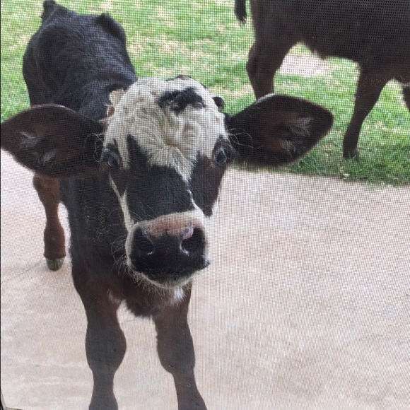 Meet your Posher, Jenna - Picture 1 of 1