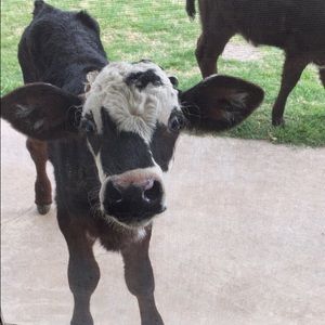 Meet your Posher, Jenna