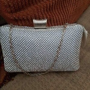 NWT Sequences clutch