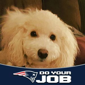 Meet your Posher, Lynn