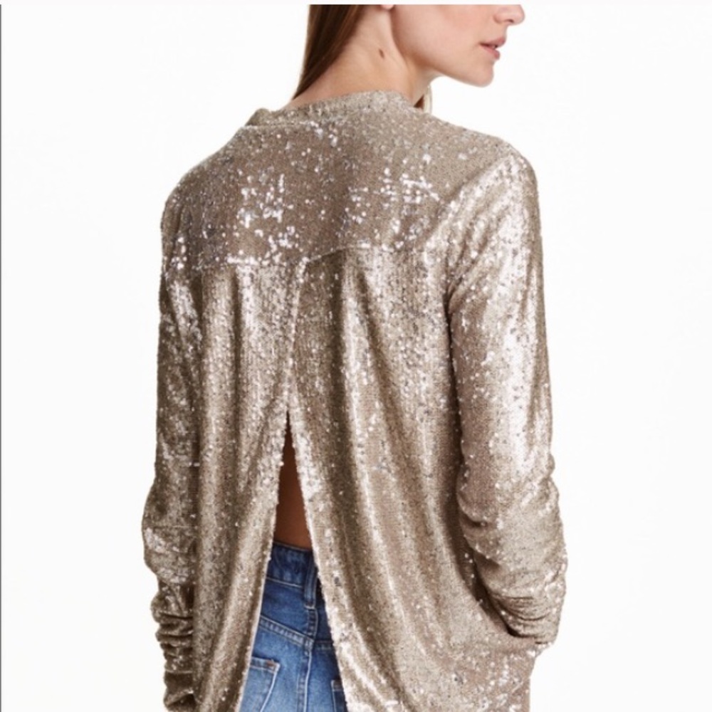 👀 PLEASE HELP FIND!!!!???!!!!!! H&M Sequin Top