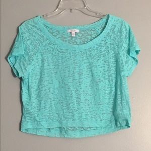 Light blue sheer animal print crop top