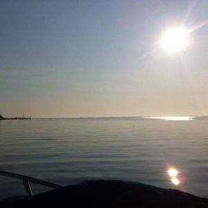 Meet your Posher, Sophia