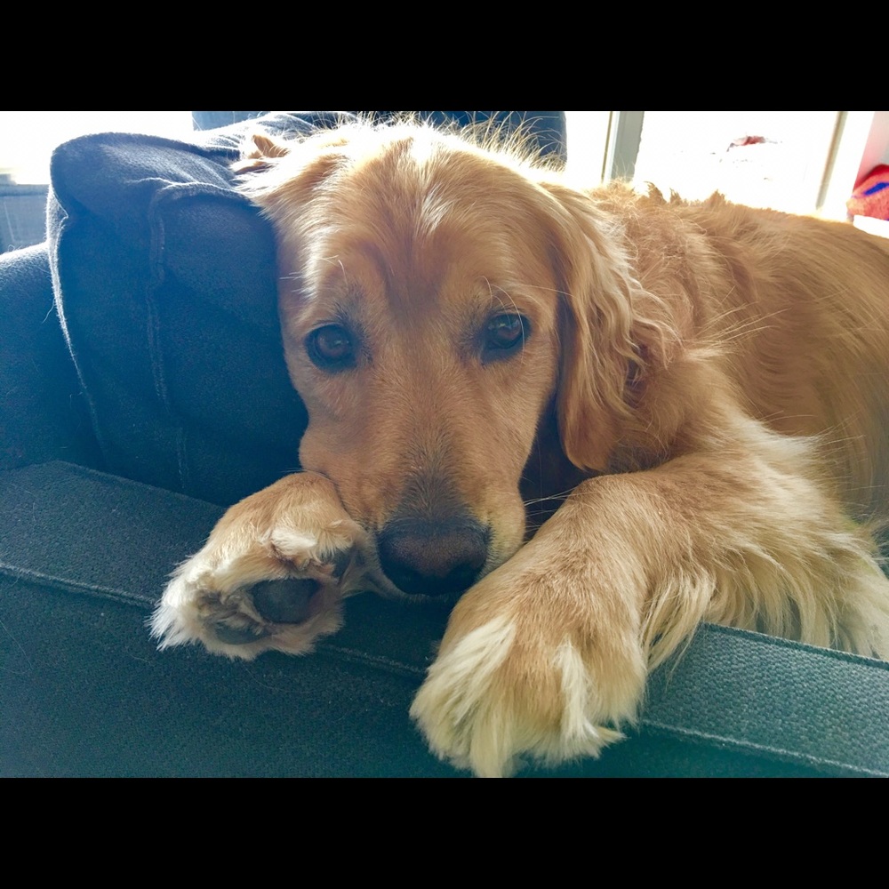 Meet your Posher, Andrea