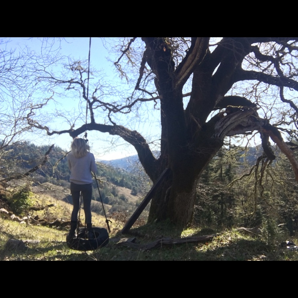 Meet your Posher, Kya