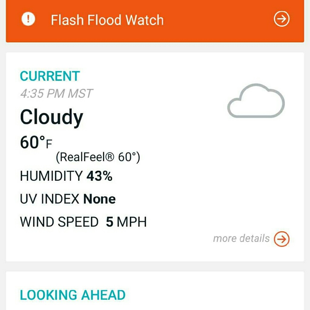 Meet your Posher, Shirlynn
