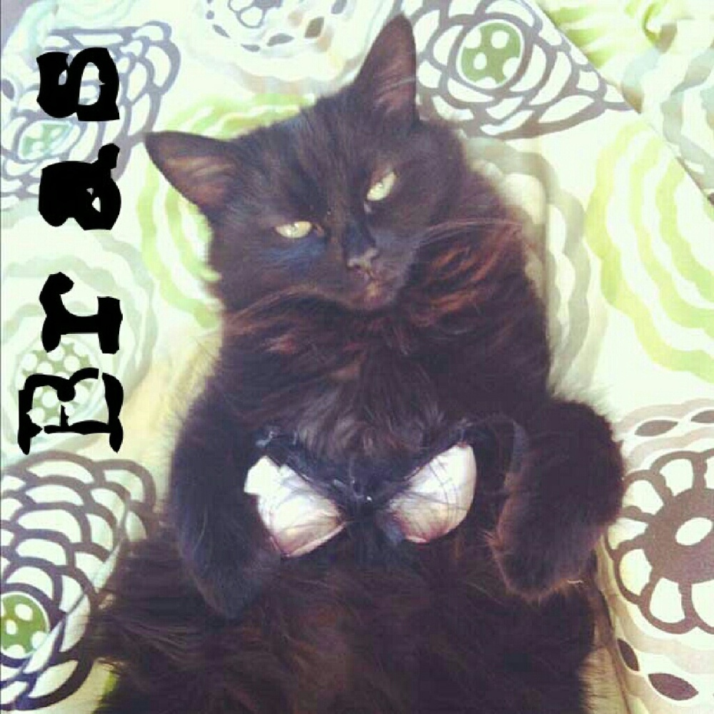 VS Bra & Lingerie Listings