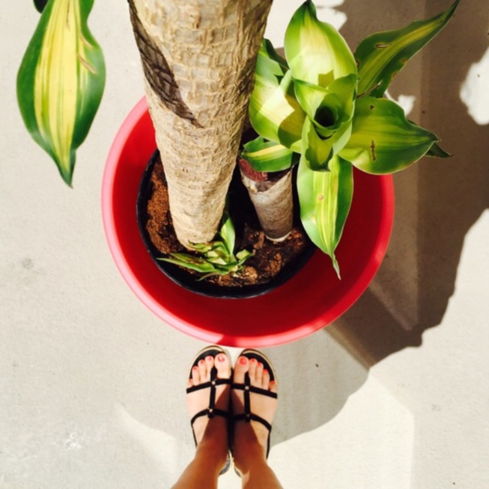 J. Crew suede strappy sandals