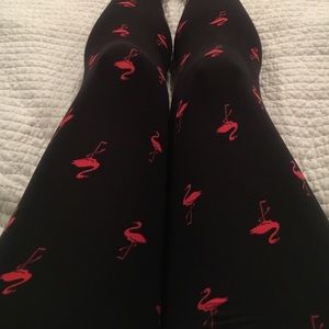 Flamingo LulaRoe Leggings