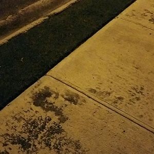 Meet your Posher, Daisy