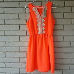 Electric orange Gianni Bini dress  NWT