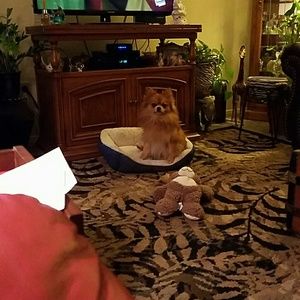 Meet your Posher, Judy