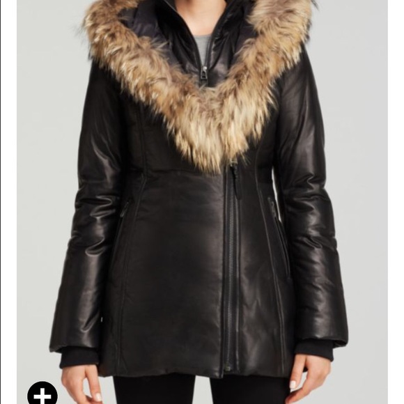 Meet your Posher, Lashanda - Picture 1 of 1