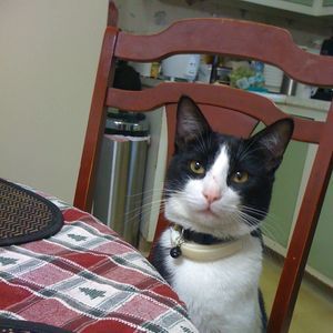 Meet your Posher, Adria