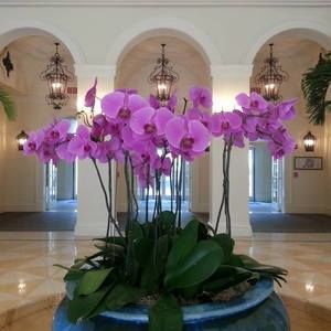 Meet your Posher, Luminita