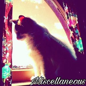 Miscellaneous and Accessories