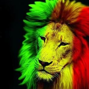 Meet your Posher, Marcus